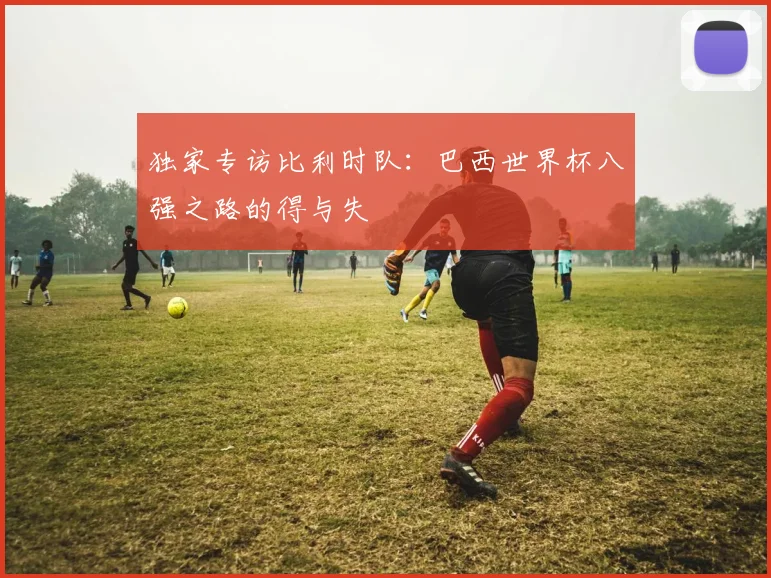 独家专访比利时队:巴西世界杯八强之路的得与失