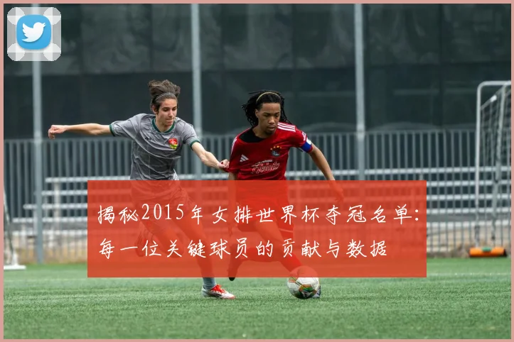 揭秘2015年女排世界杯夺冠名单:每一位关键球员的贡献与数据