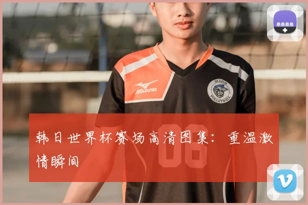 韩日世界杯赛场高清图集：重温激情瞬间