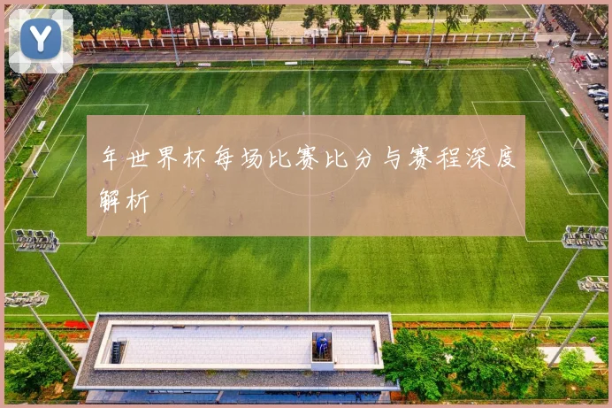 年世界杯每场比赛比分与赛程深度解析