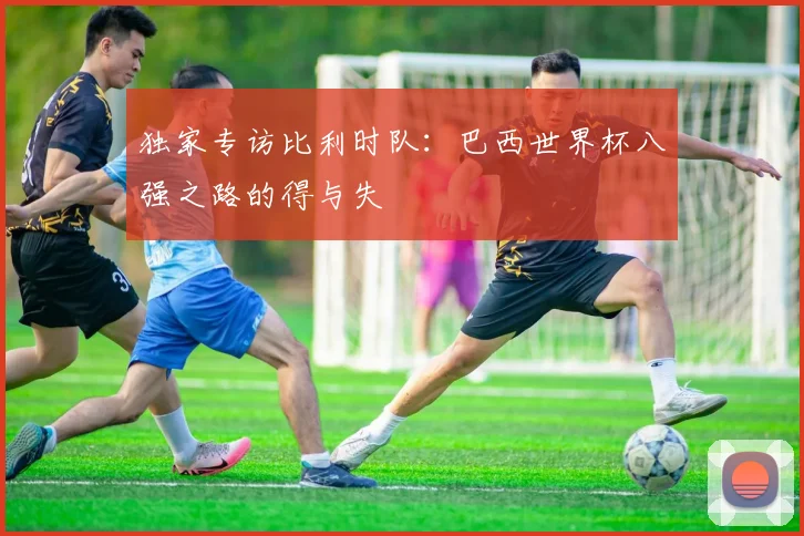 独家专访比利时队：巴西世界杯八强之路的得与失