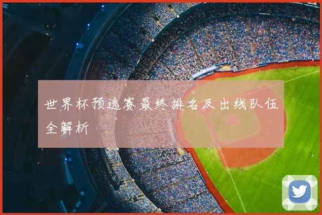 世界杯预选赛最终排名及出线队伍全解析