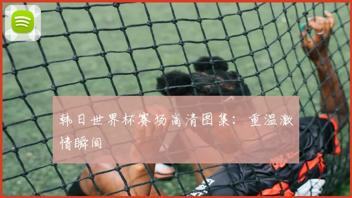 韩日世界杯赛场高清图集：重温激情瞬间