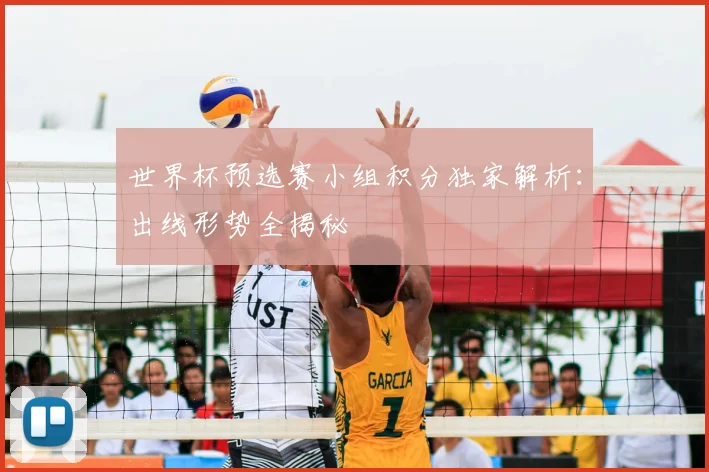 世界杯预选赛小组积分独家解析：出线形势全揭秘